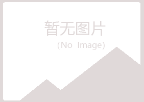 淮南大通夜山建设有限公司